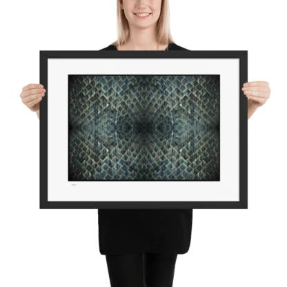 Shuttle Skin | Framed Art Print