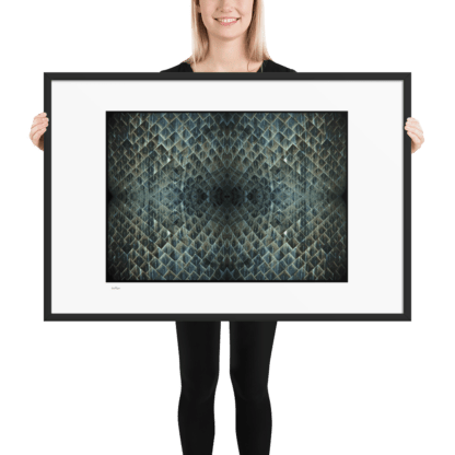 Shuttle Skin | Framed Art Print