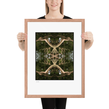 Alien Birth | Framed Print