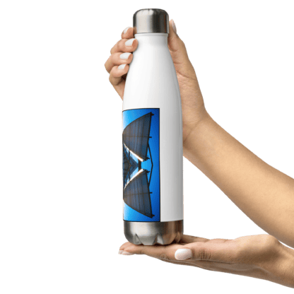Solar Kite | Insulated Stainless Steel Water Bottle