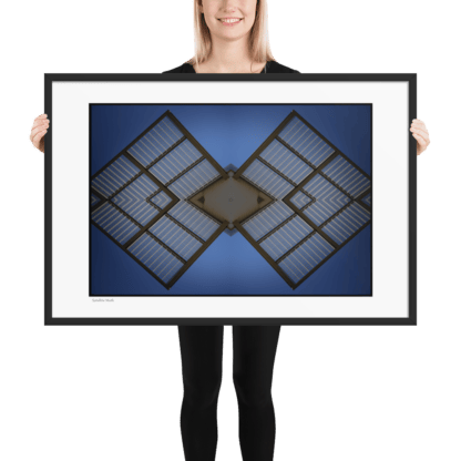 Satellite Moth | Framed Print