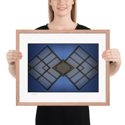 Satellite Moth | Framed Print